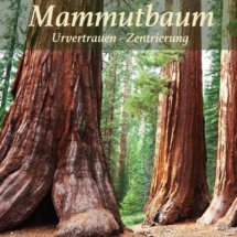 Nr-35-Mammutbaum
